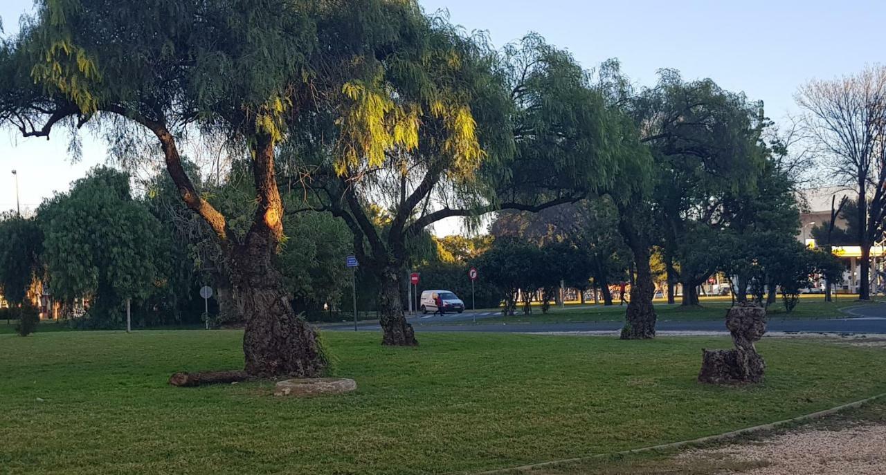 Apartamento Frente A Palacio De Congresos Seville Ngoại thất bức ảnh
